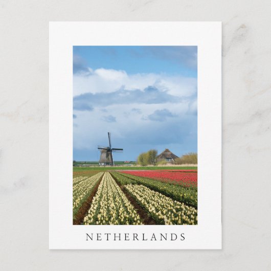 Windmolen en tulpen verticaal wit briefkaart (Voorkant)