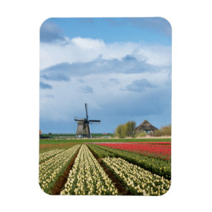 Windmolen en tulpen verticale staande magneet