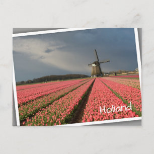 Windmolen met roze tulpen in de lente briefkaart