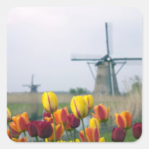 Windmolens en tulpen langs het kanaal in vierkante sticker