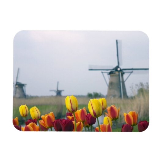 Windmolens en tulpen langs het kanaal magneet (Horizontaal)