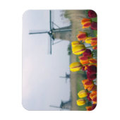 Windmolens en tulpen langs het kanaal magneet (Verticaal)