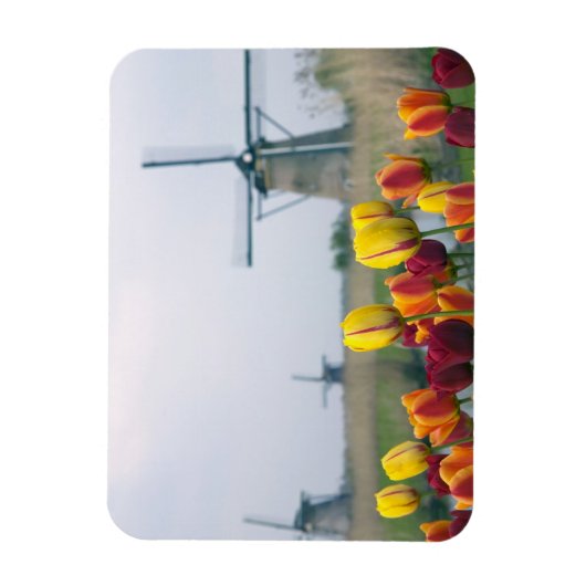 Windmolens en tulpen langs het kanaal magneet (Verticaal)