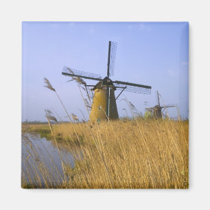 Windmolens langs het kanaal in Kinderdijk, 2 Magneet