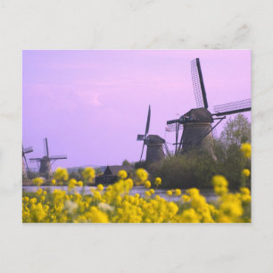 Windmolens langs het kanaal in Kinderdijk, Briefkaart