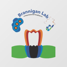 Window Cling Raamsticker