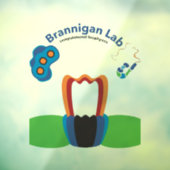 Window Cling Raamsticker (Vel 3)