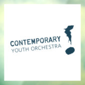 Window Cling Raamsticker (Vel 3)