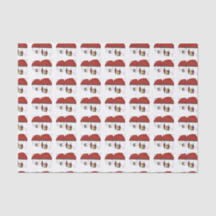 Window Shoping met Kerstmis NYC New York City Tissuepapier