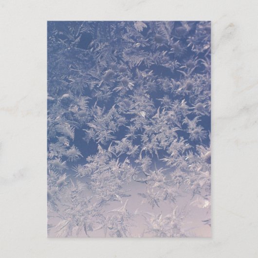 Window Snowflakes Briefkaart (Voorkant)