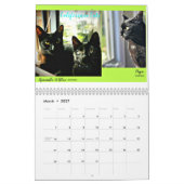 Windows aux chats noirs du calendrier du monde (Mar 2027)