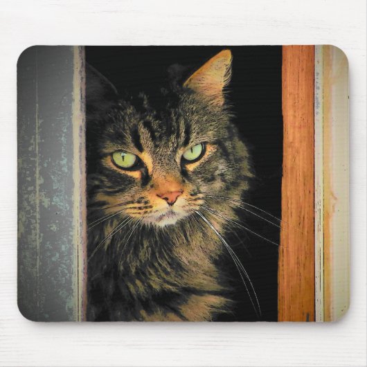 Windows Cat Muismat (Voorkant)