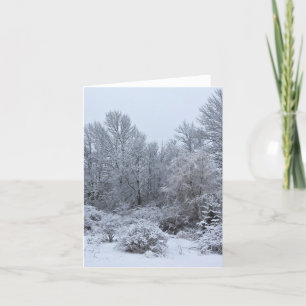 Windsor Winter White Christmas Feestdagen Kaart