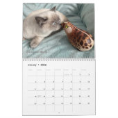 Windstone Editions-kalender Kalender (Jan 2026)
