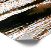 WINDSURFING POSTER (Hoek)