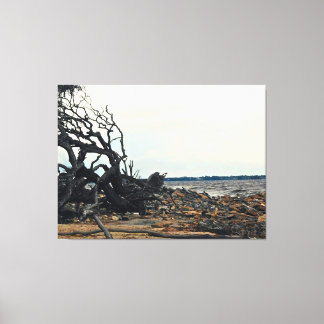Windswept Boom bij Rotsachtige Kustlijn Canvas Afdruk