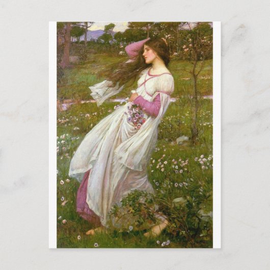 Windswept Briefkaart (Voorkant)