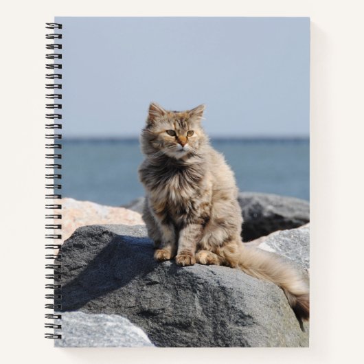Windswept Cat at Seaside Cute Photo Notitieboek (Voorkant)