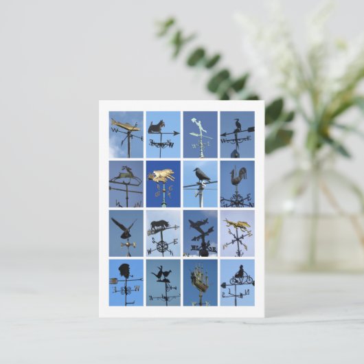 windvanen briefkaart (Staand voorkant)