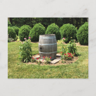 Wine Barrel Garden Decor, Chateau Morrisette, VA Briefkaart