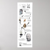 Wing Chun Kung Fu Lineage Tree - Ip Man Poster (Voorkant)