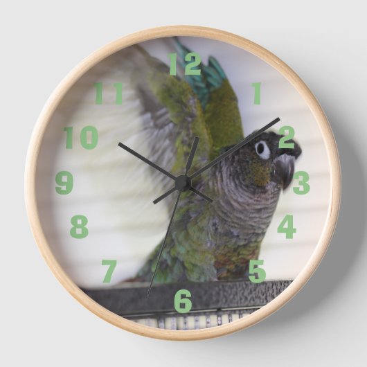 Wing Ding Watch (Voorkant)