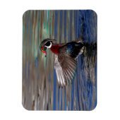 Wing Flapping Wood Duck Magneet (Verticaal)