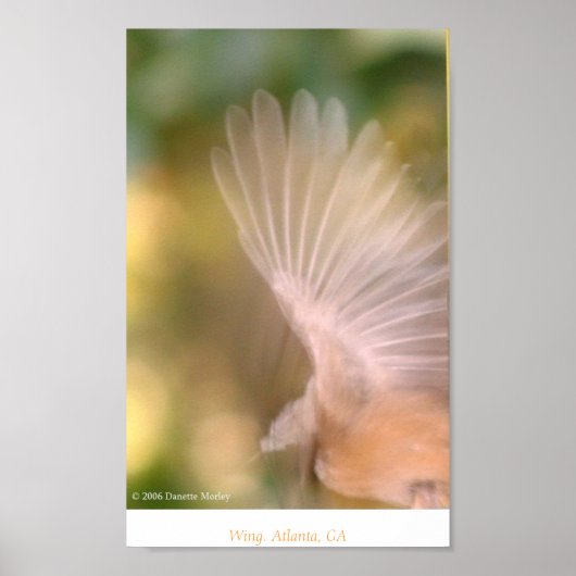 Wing Poster (Voorkant)