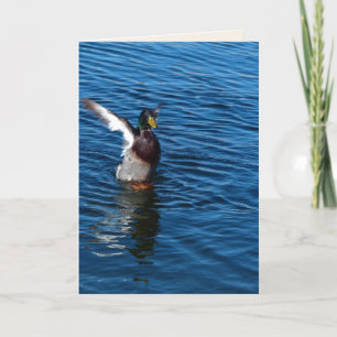 Wingd Duck, blanco Wenskaart Kaart