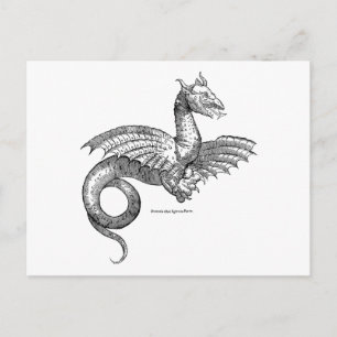 Winged Dragon of Wyvern Briefkaart