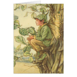 Winged Elm Fairy Zitten in een boom