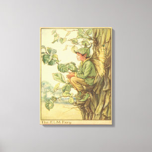Winged Elm Fairy Zitten in een boom Canvas Afdruk