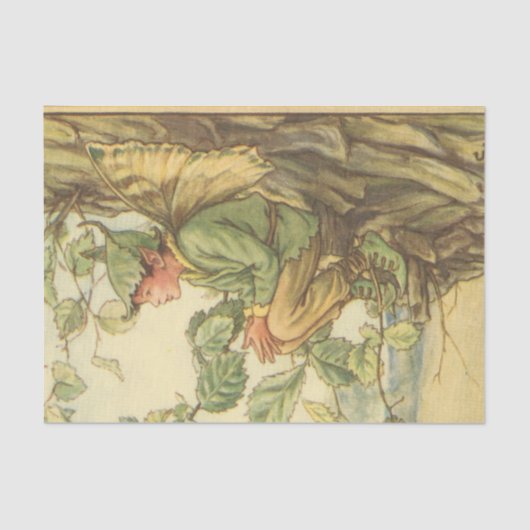 Winged Elm Fairy Zitten in een boom Tissuepapier (Voorkant)