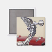 Winged Magneet (Voorkant / Achterkant)