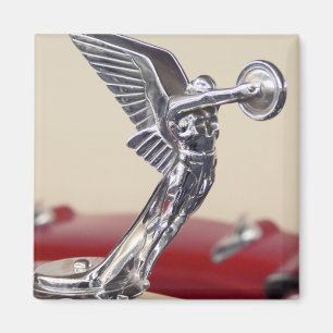 Winged Magneet