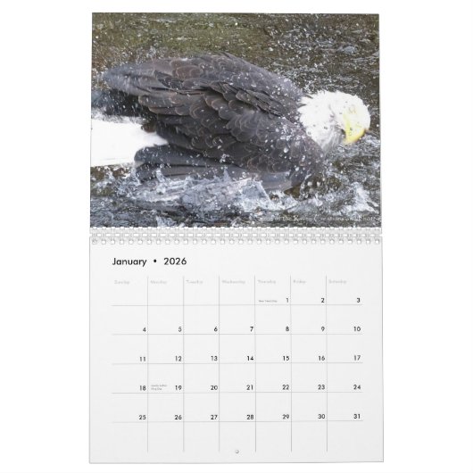 Winged Spirts 2013 24-maands kalender (Jan 2026)