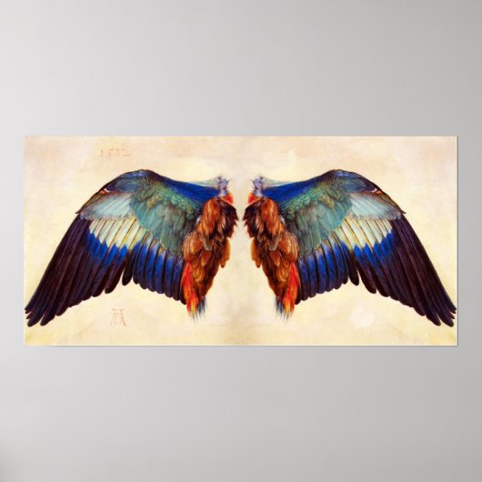 WINGEN VAN EEN EUROPESE ROLLER POSTER (Voorkant)