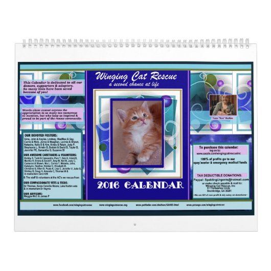 Winging Cat Rescue 2016 Premium Calendar Kalender (Hoes)