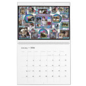 Winging Cat Rescue 2016 Premium Calendar Kalender (Jan 2026)