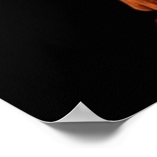 Winglet Dragonets Moonwatcher Win Poster (Hoek)