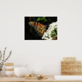 Wings 2 Fly Poster (Keuken)