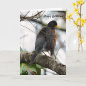 Wings American Robin Carte de voeux Anniversaire (Fleur jaune)