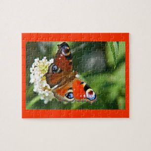 Wings of Wonder IV puzzel