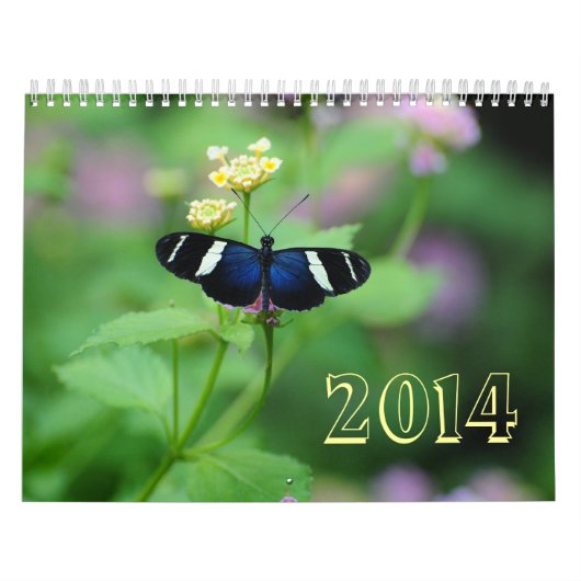 Wings of Wonderment Butterfly Kalender (Hoes)