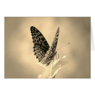 Wings Up - Papillon fritillaire en sépia