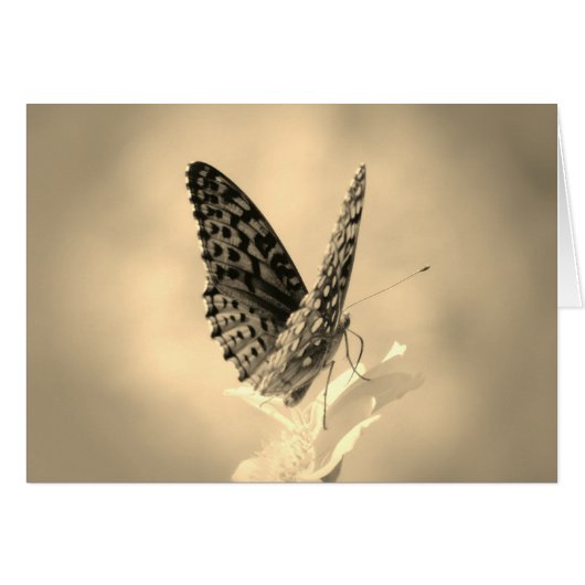 Wings Up - Papillon fritillaire en sépia (Devant horizontal)