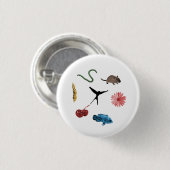 Wingspan Alle Food Tokens Button (Voorkant /achterkant)