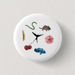 Wingspan Alle Food Tokens Button