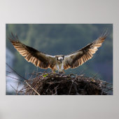 Wingspan Poster (Voorkant)