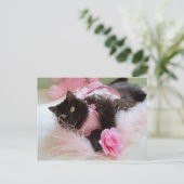 Wink pour carte postale rose (Debout devant)